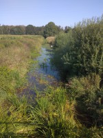 /album/fotos-europa/img-20190821-102153-small-jpg/